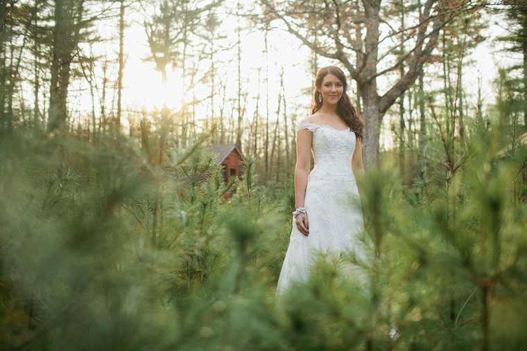 trash the dress